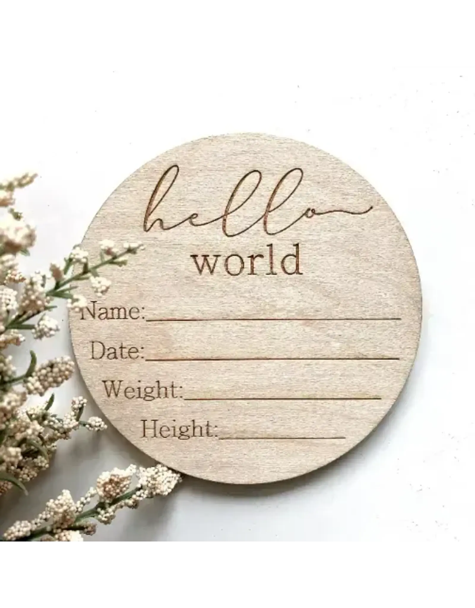 Hello World Baby Info Disc