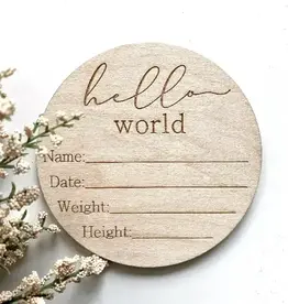 Hello World Baby Info Disc