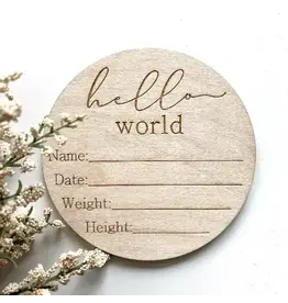 Hello World Baby Info Disc