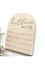 Hello World Baby Info Disc Arch