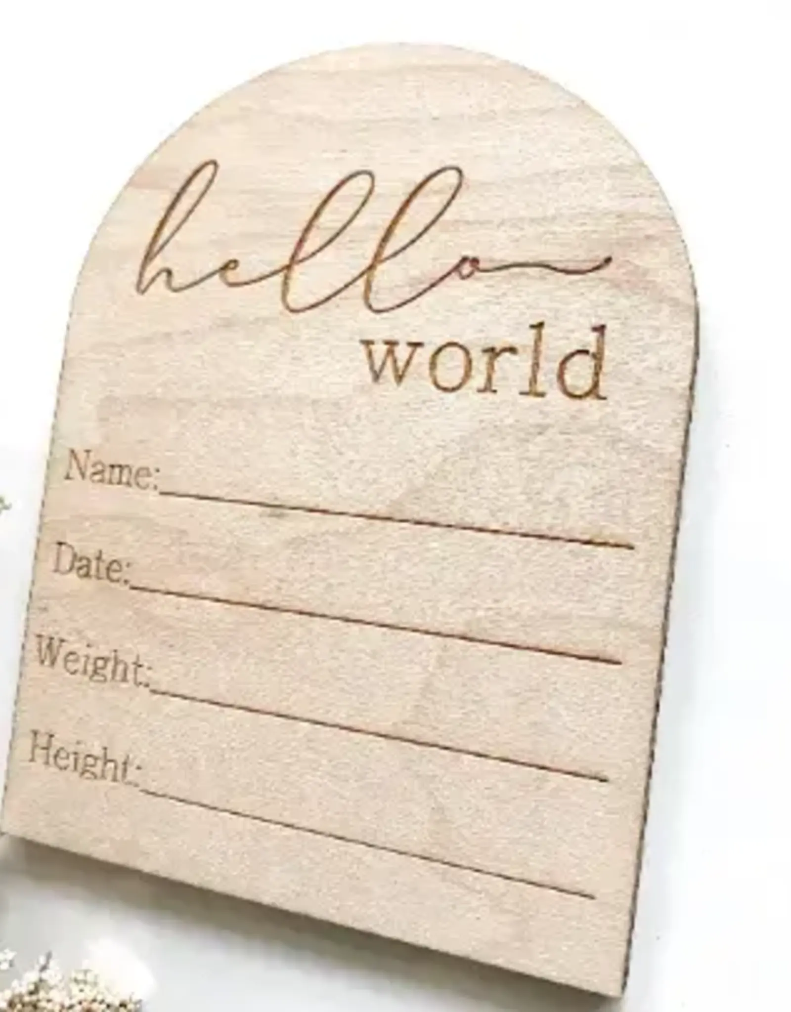 Hello World Baby Info Disc Arch