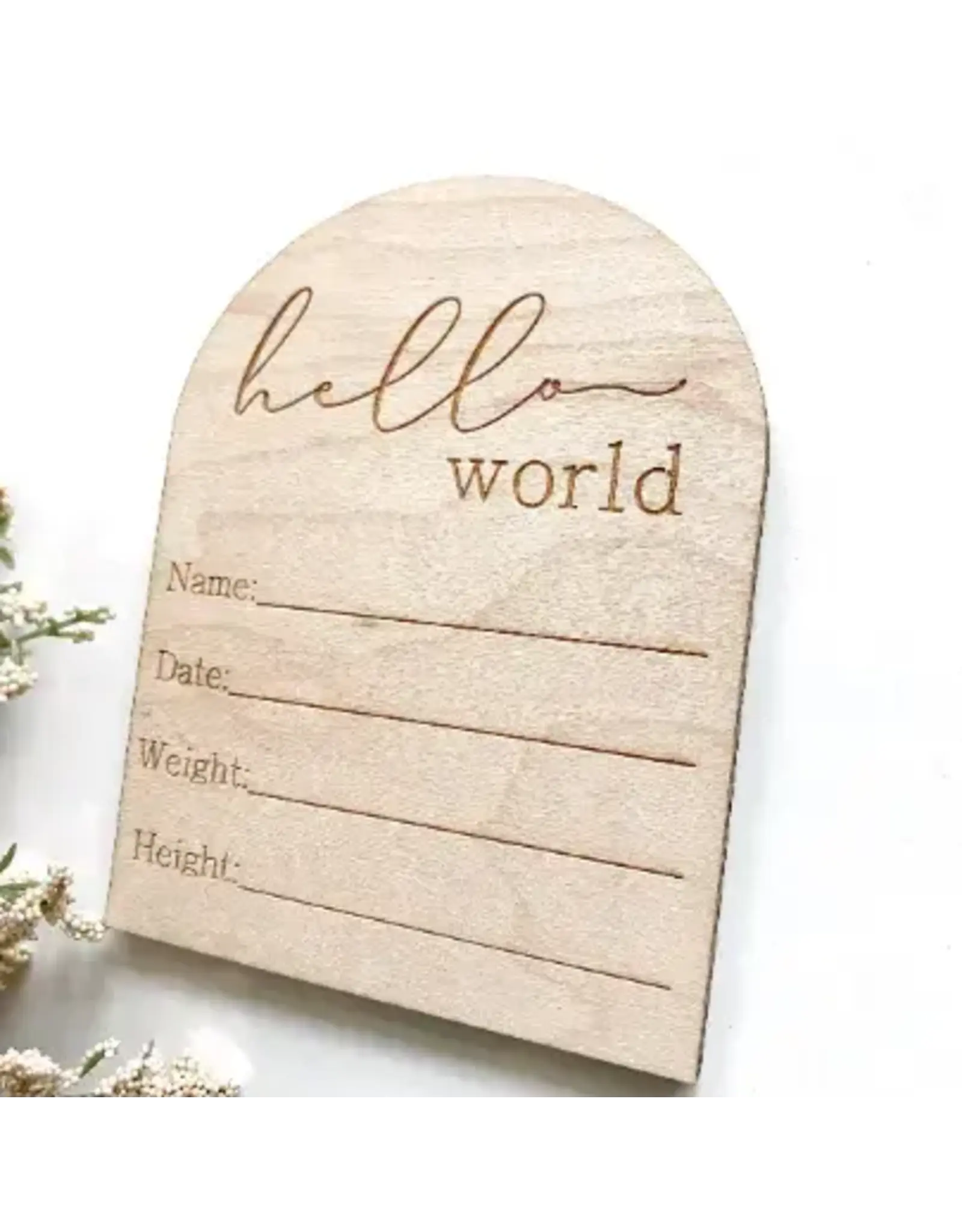 Hello World Baby Info Disc Arch