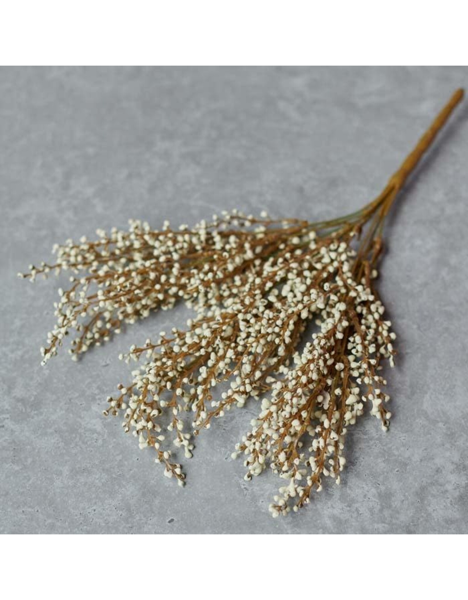 Heather Stem, Cream