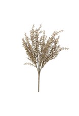 Heather Stem, Cream
