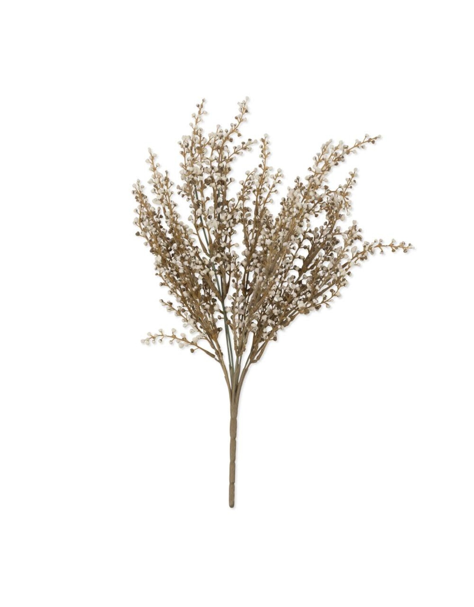 Heather Stem, Cream