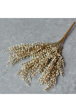 Heather Stem, Cream