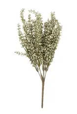 Heather Sage Stem