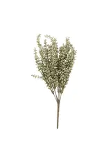 Heather Stem, Sage