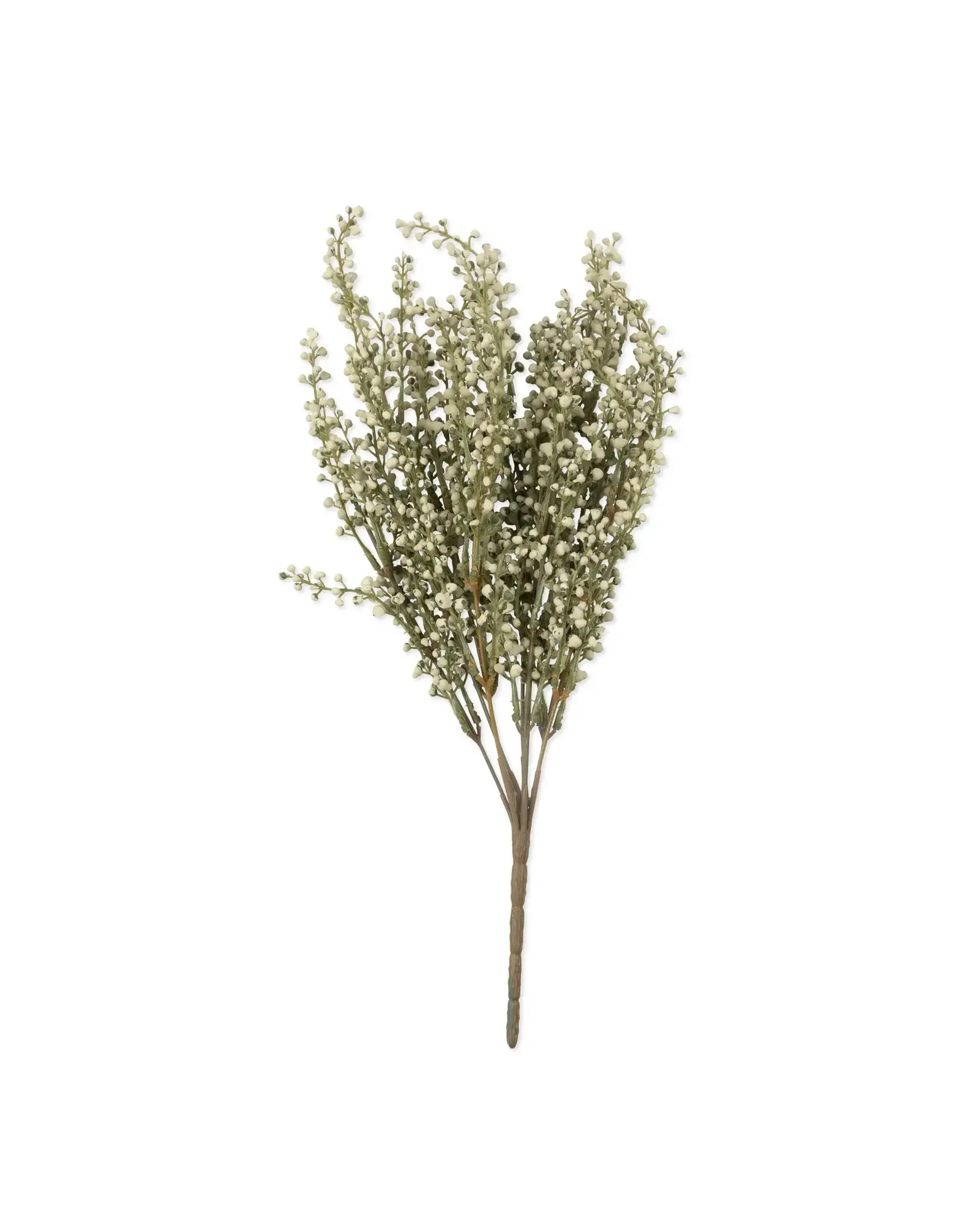 Heather Stem, Sage