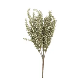 Heather Stem, Sage