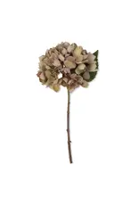 Artificial Hydrangea, Dusk