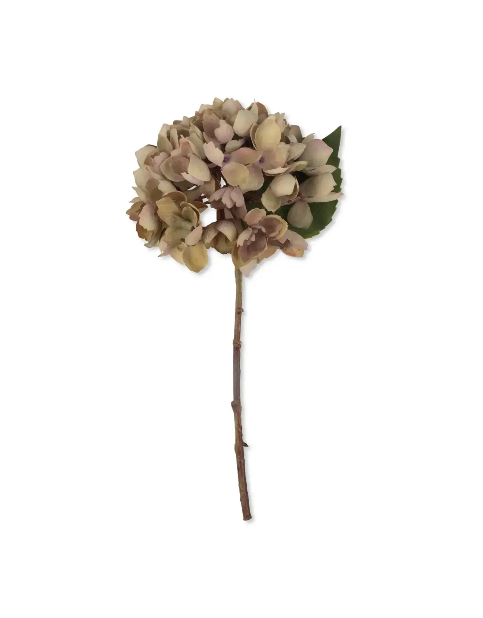 Artificial Hydrangea, Dusk