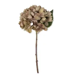 Artificial Hydrangea, Dusk
