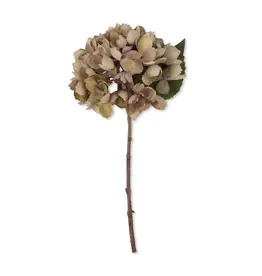Artificial Hydrangea, Dusk