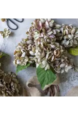 Artificial Hydrangea, Dusk