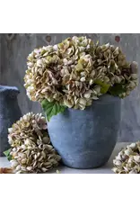 Artificial Hydrangea, Dusk