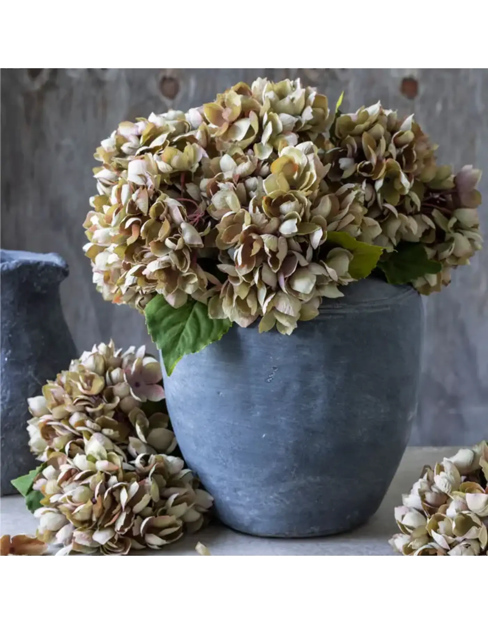 Artificial Hydrangea, Dusk