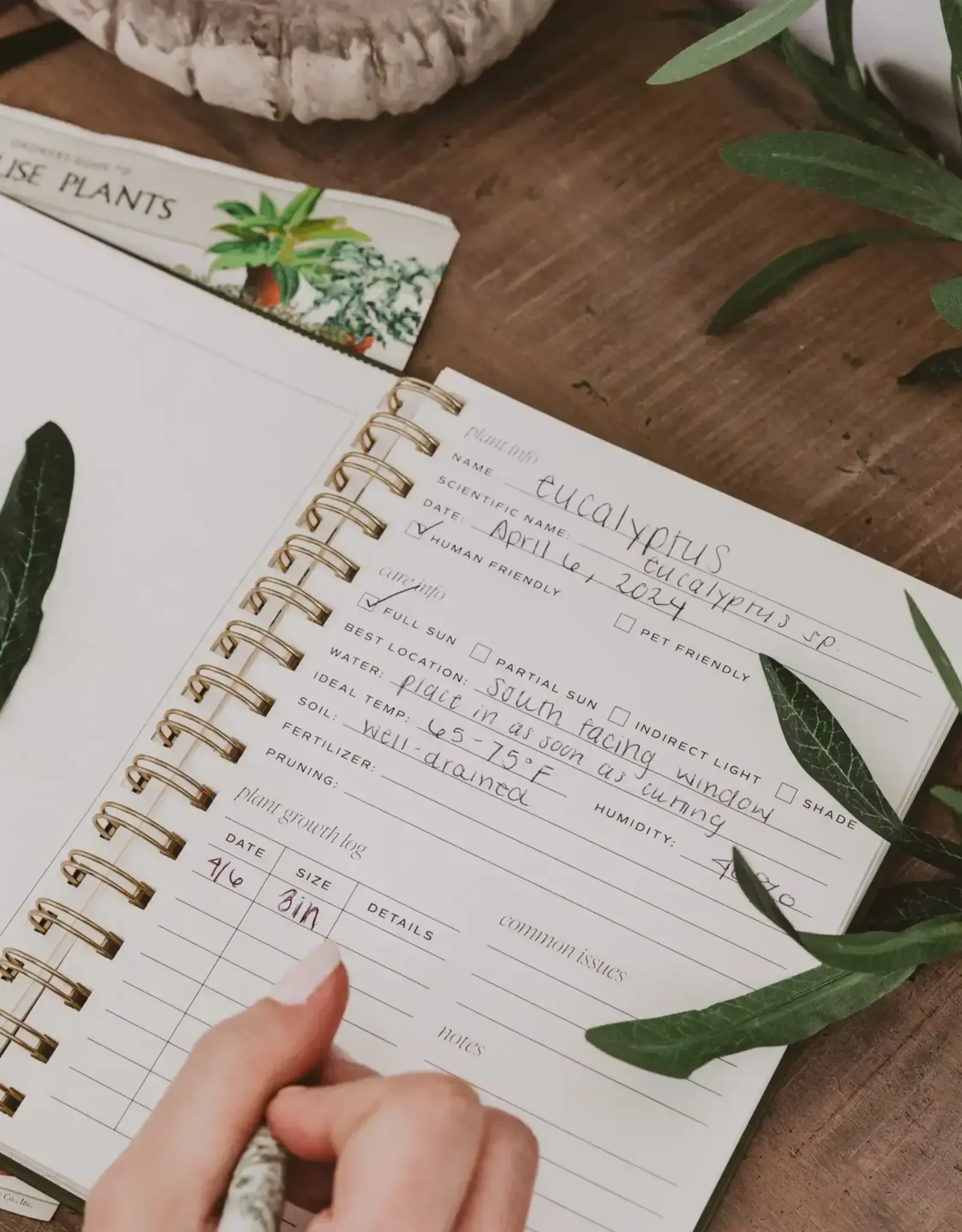 Indoor/Outdoor Plant Journal