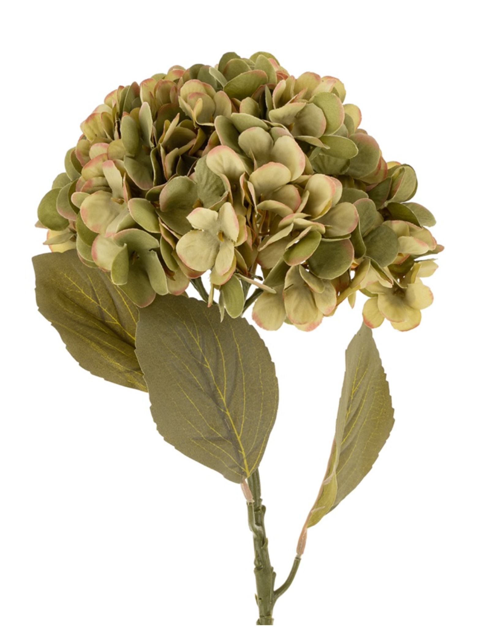 Faded Hydrangea Stem L, Green