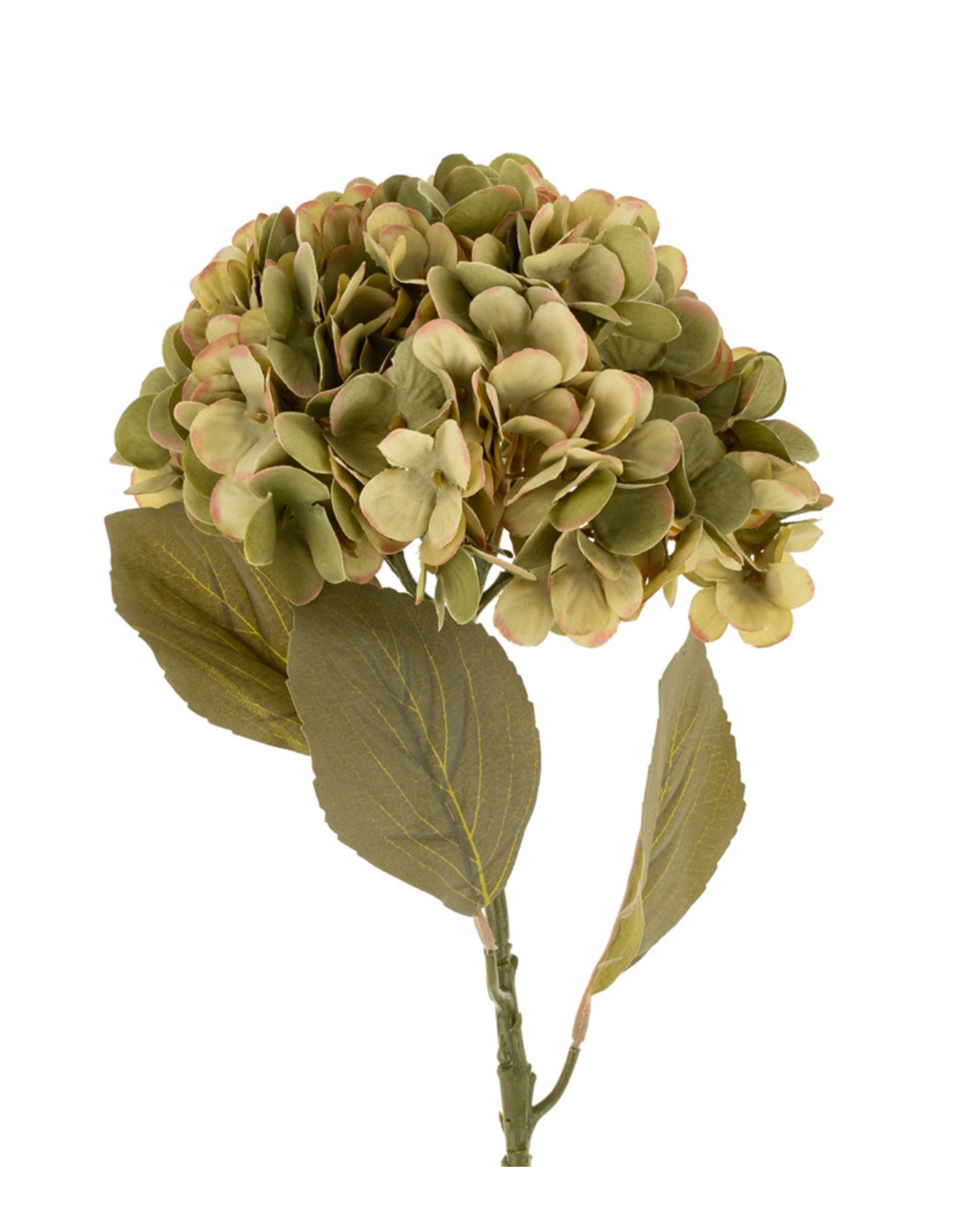 Faded Hydrangea Stem L, Green
