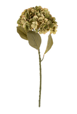 Faded Hydrangea Stem L, Green