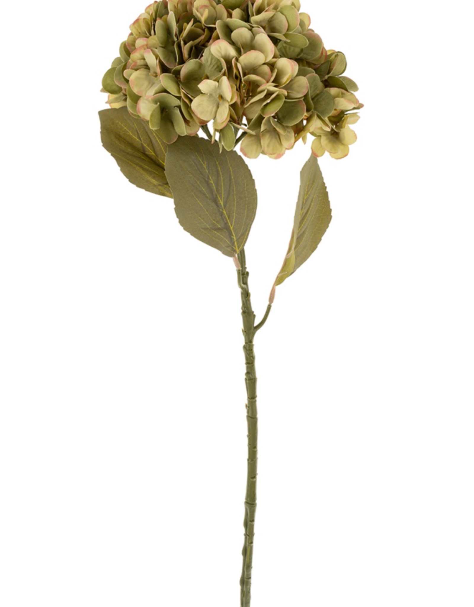 Faded Hydrangea Stem L, Green