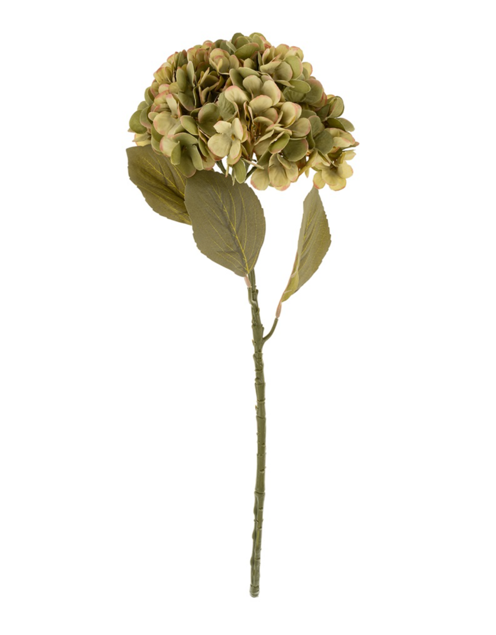 Faded Hydrangea Stem L, Green