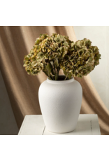 Faded Hydrangea Stem L, Green