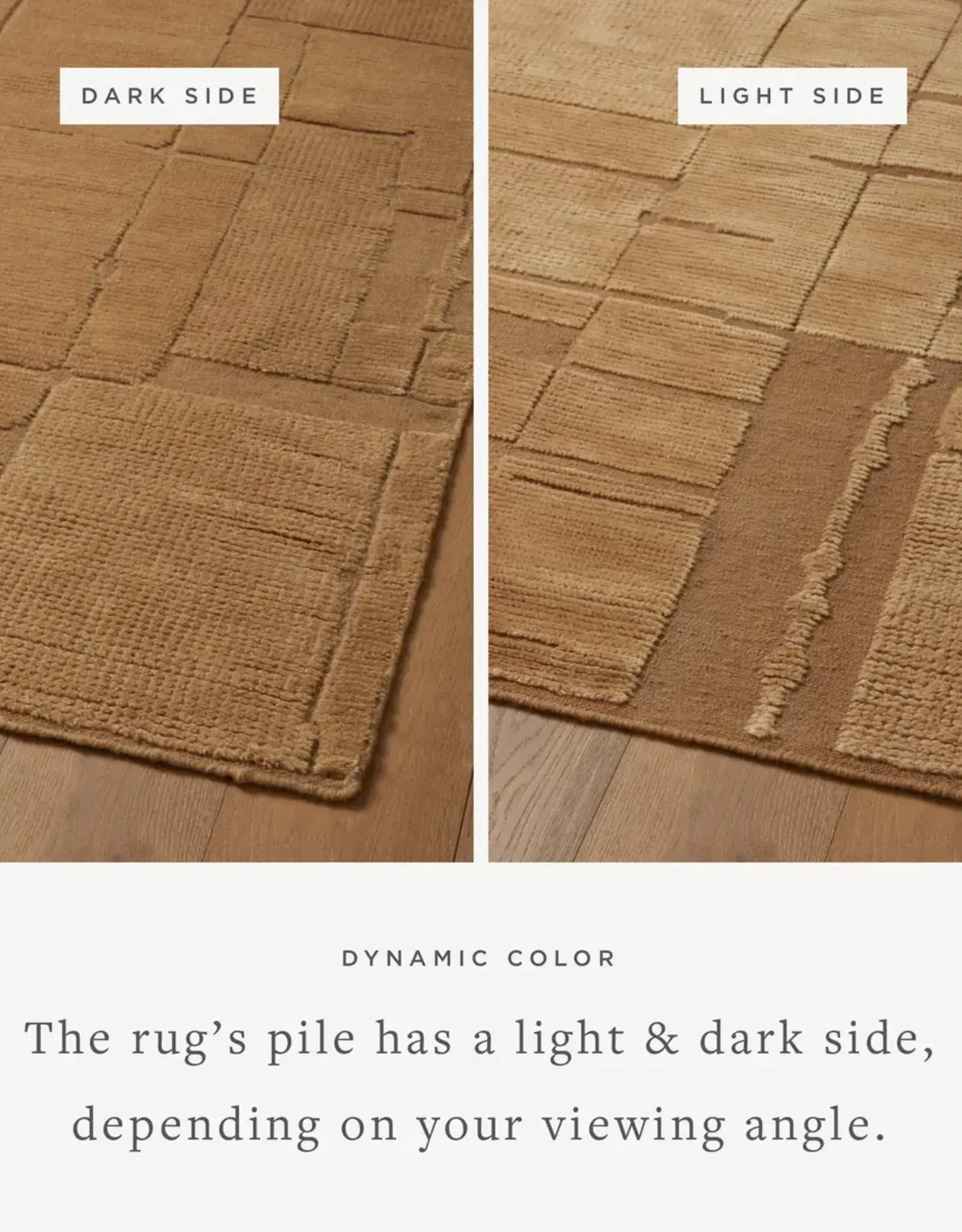 Carrier & Company × Loloi Walker Rug WAL-01 Gold