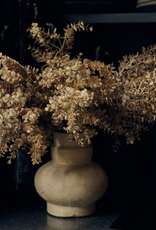 Eucalyptus Bunch - Desert