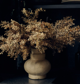 Eucalyptus Bunch - Desert