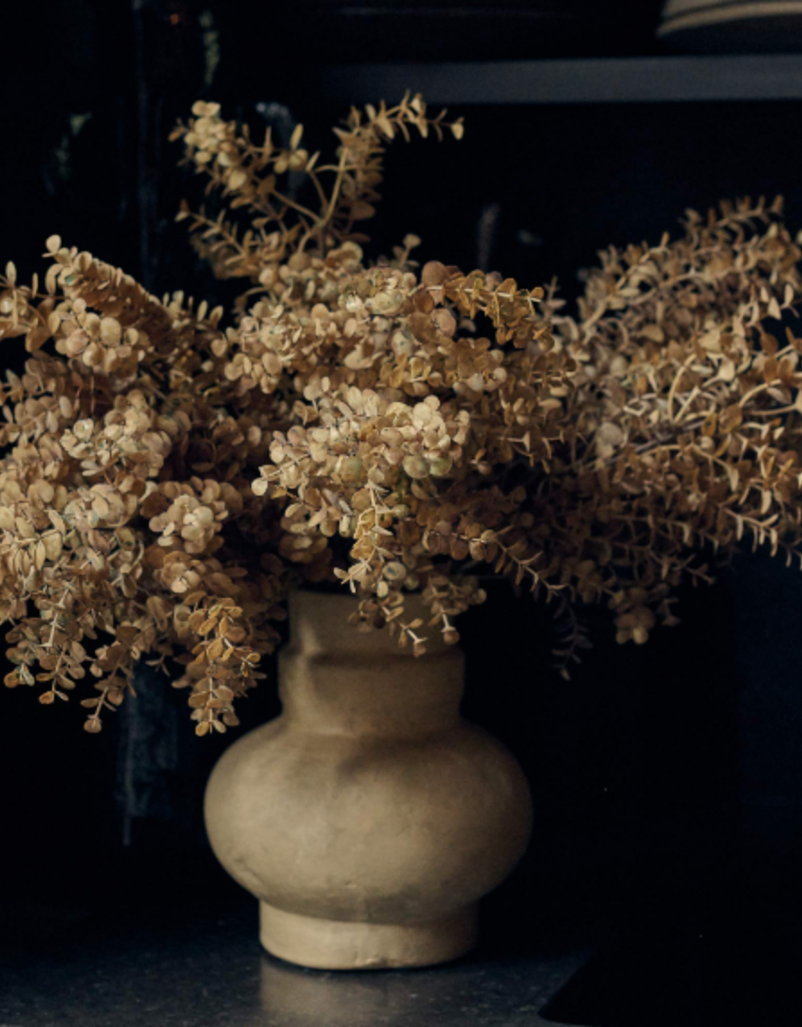 Eucalyptus Bunch - Desert