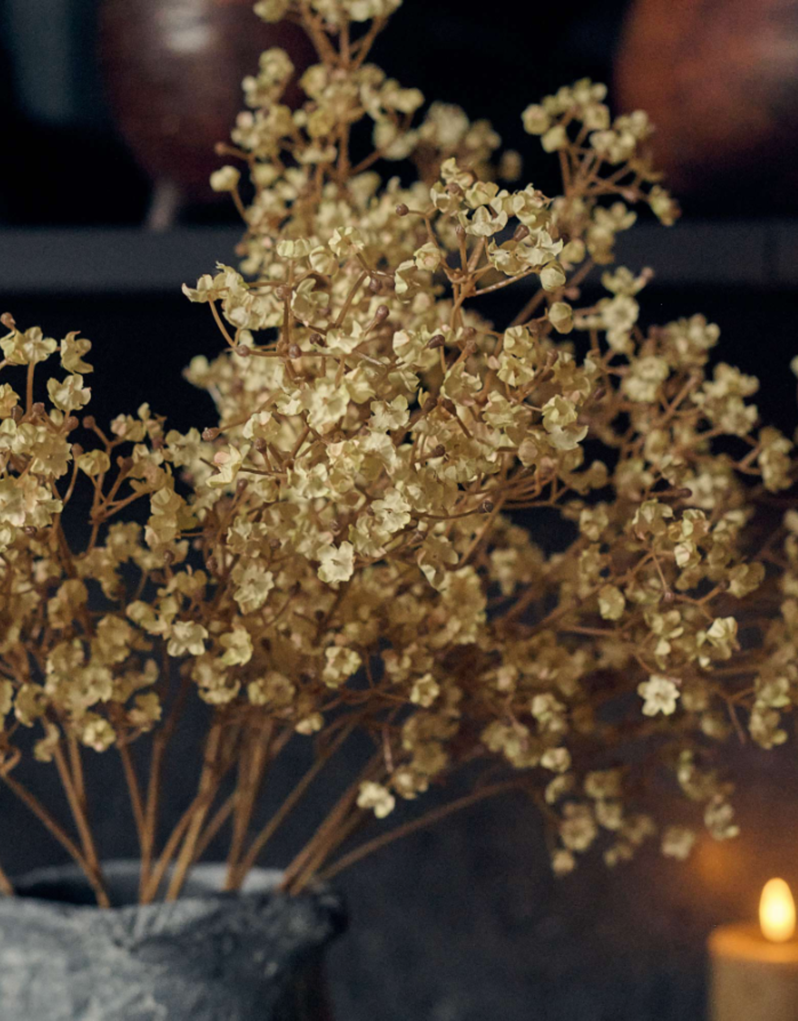 Gypsophila - Cream
