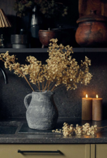 Gypsophila - Cream