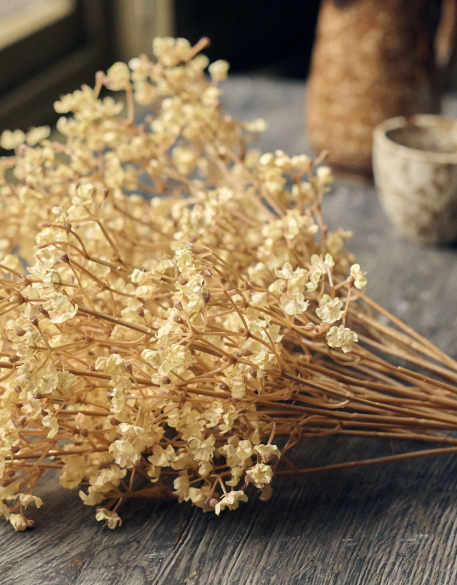Gypsophila - Cream