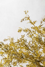 Meadow Grass - Flaxen