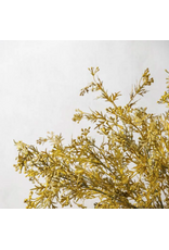 Meadow Grass - Flaxen