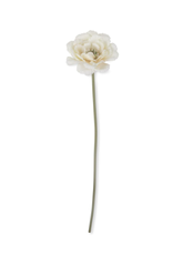 Peony Garden Lace