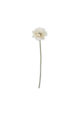 Peony Garden Lace