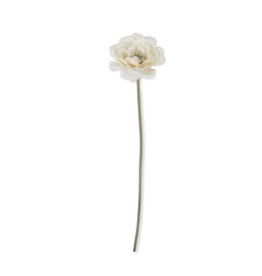 Peony Garden Lace