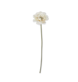 Peony Garden Lace