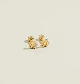Zirconia Heart Studs