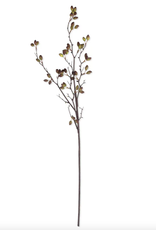Artificial Barberry