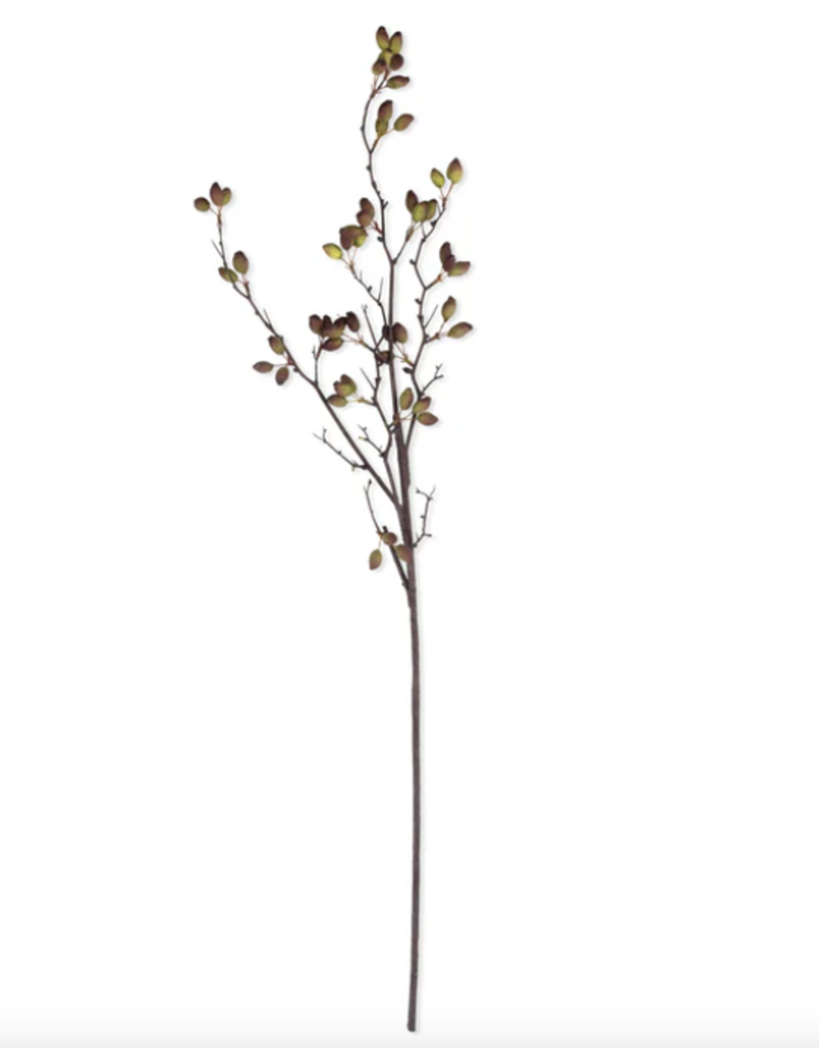 Artificial Barberry