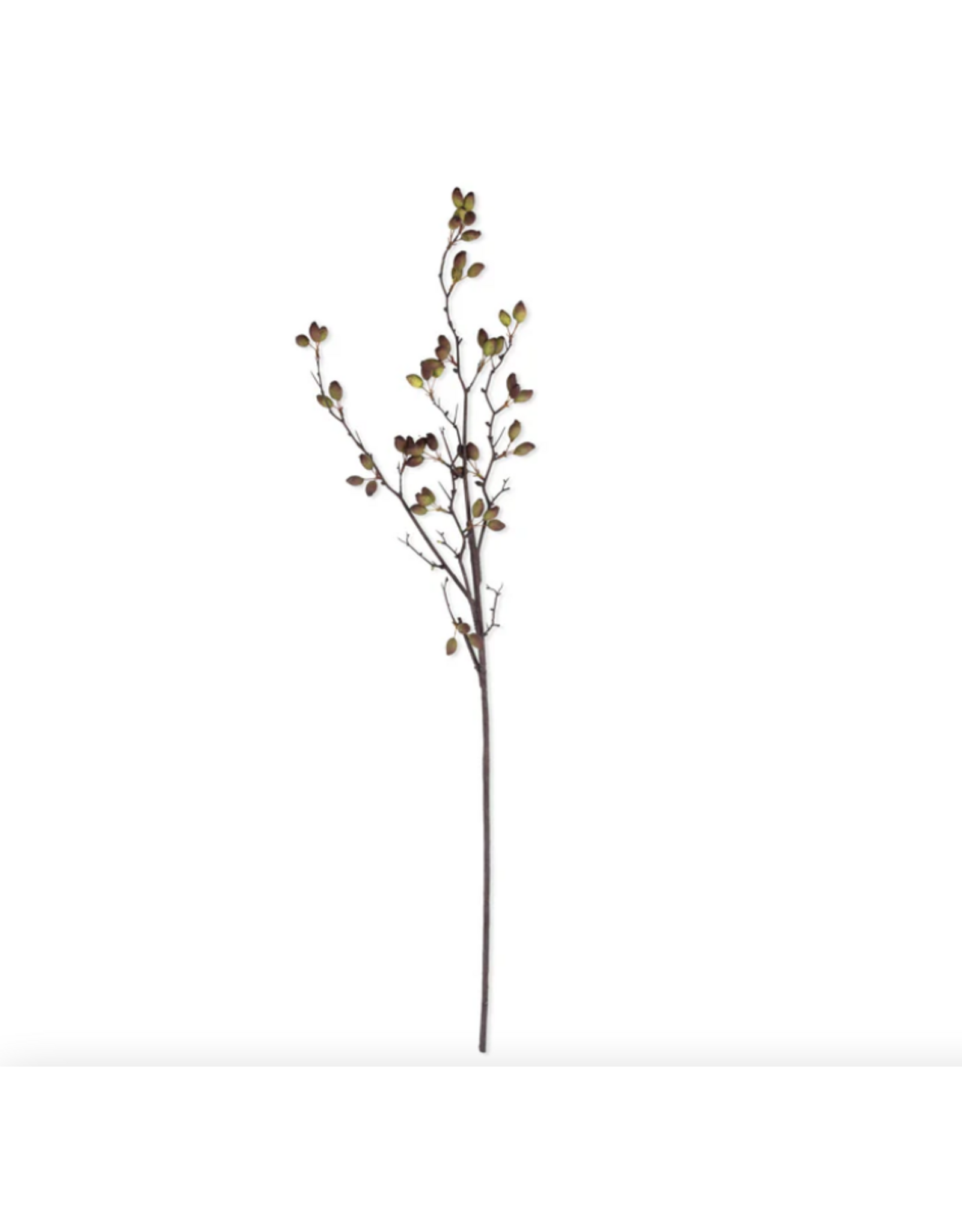 Artificial Barberry