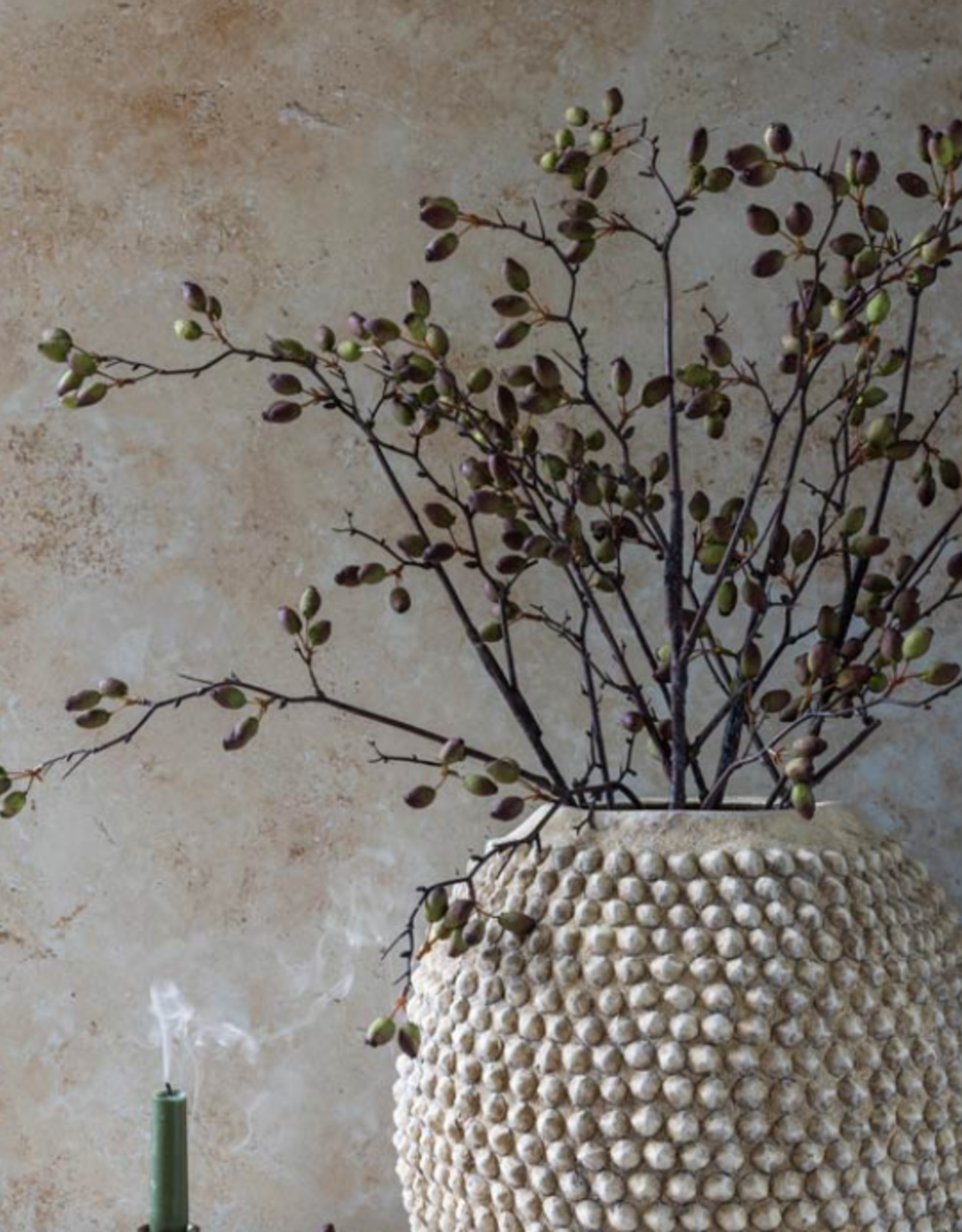 Artificial Barberry