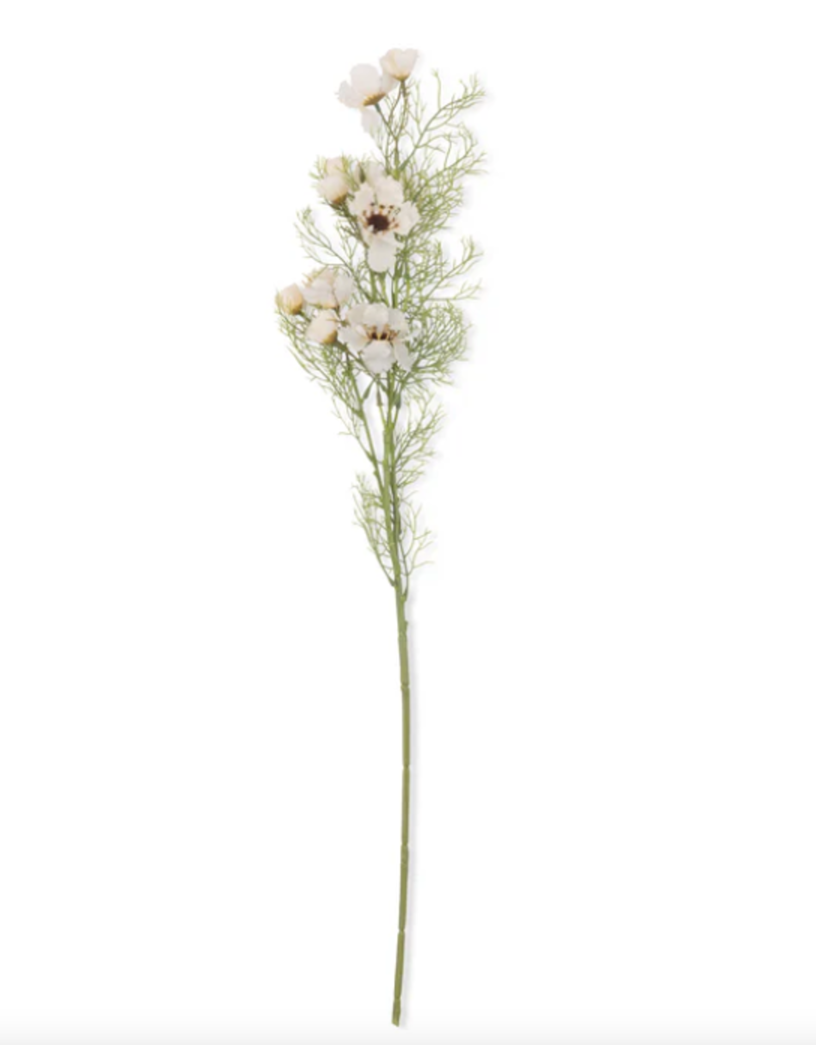 Cosmos Cream Faux Floral