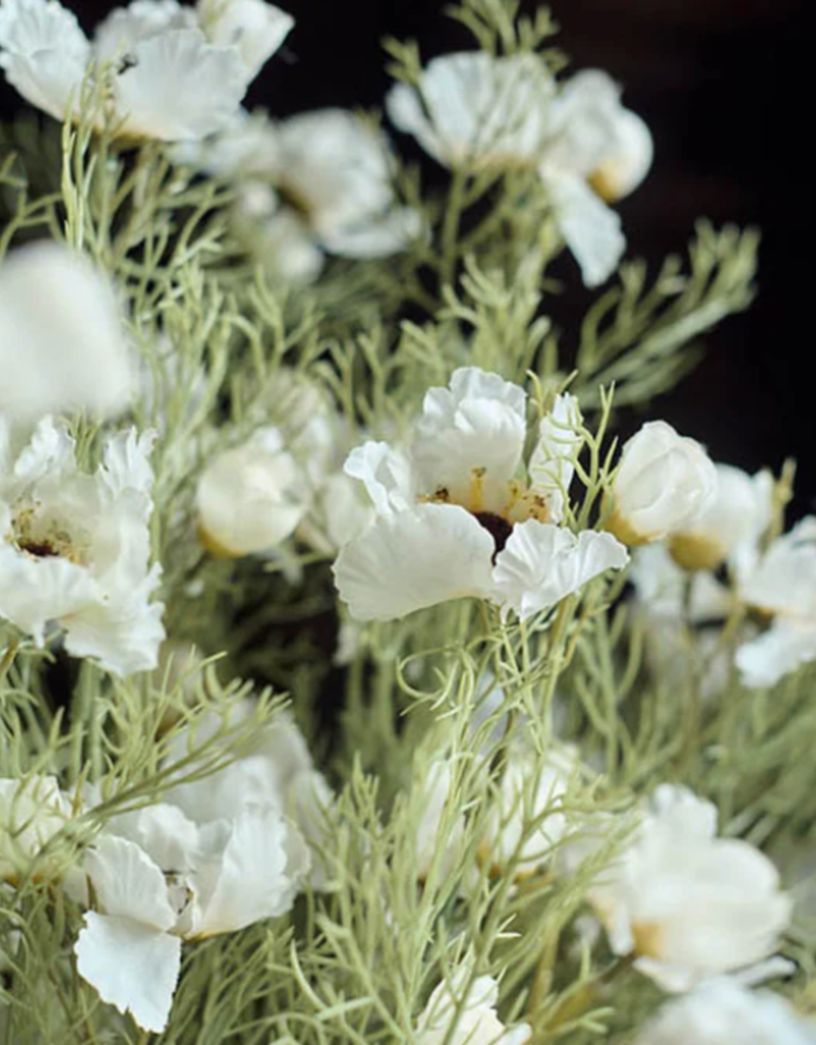 Cosmos Cream Faux Floral