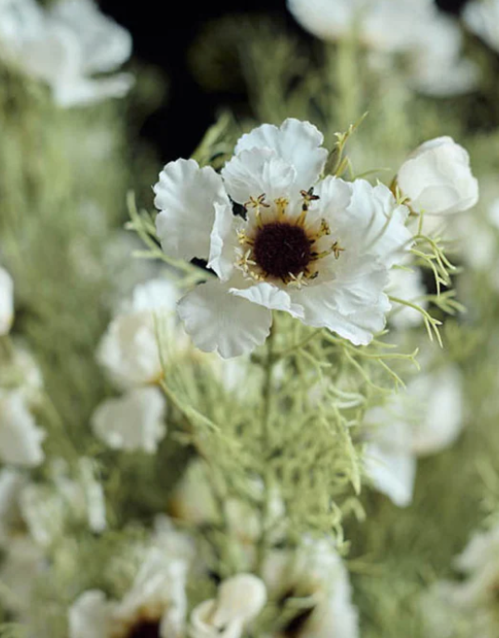 Cosmos Cream Faux Floral