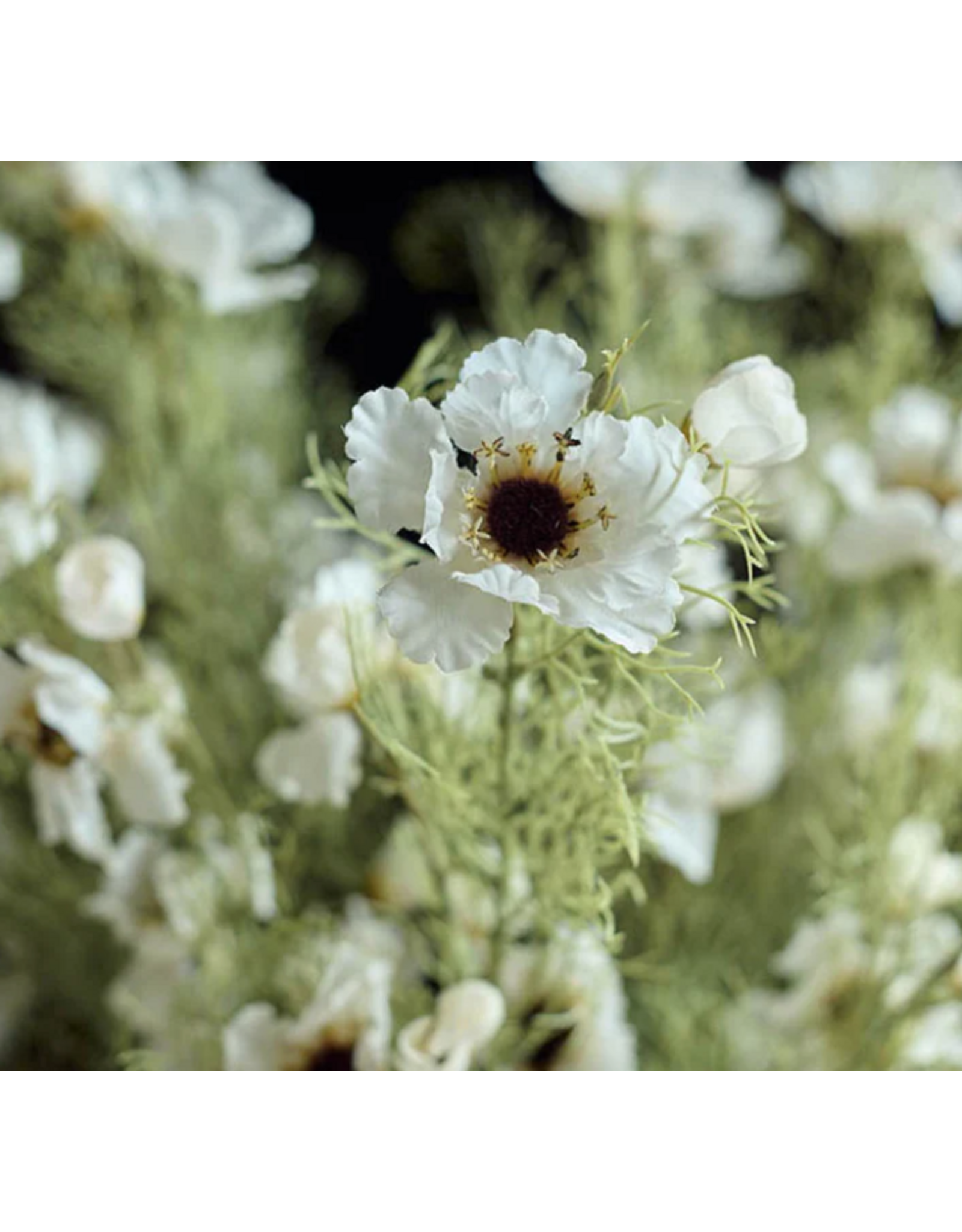 Cosmos Cream Faux Floral
